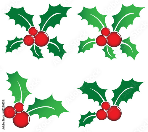 Holly berries symbol vectors