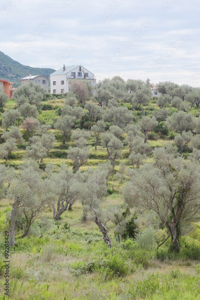 Naklejka premium Mediterranean landscape with the image of mountains