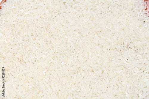 Thai rice seed