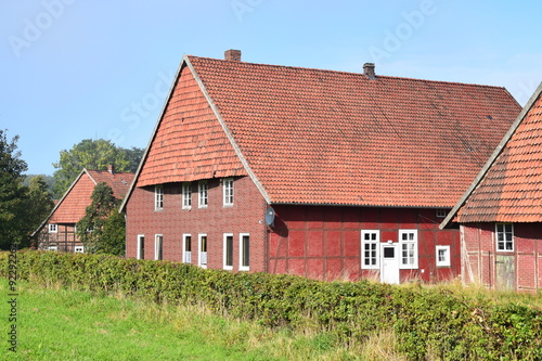 Wallpaper Mural Schaumburger Rundwalm Torontodigital.ca