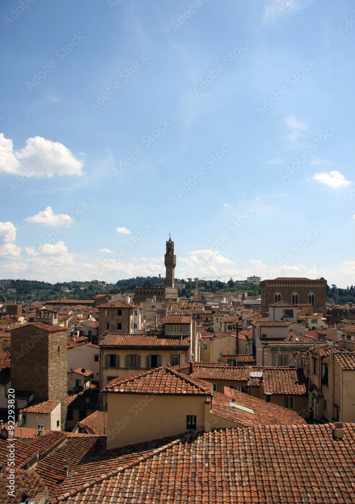 Florence Rooftop Skyline (Italy)