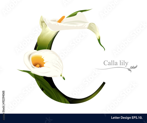 Letter C vector alphabet with calla lily flower. ABC concept typ