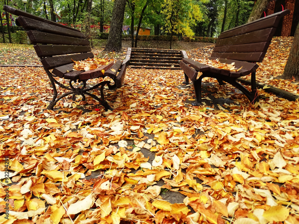 Two Alone Wooden Benches In Autumn Park With Colorful Leaves On