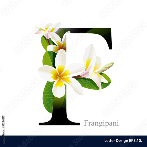 Letter F vector alphabet with frangipani flower. ABC concept typ