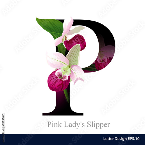 Fototapeta Naklejka Na Ścianę i Meble -  Letter P vector alphabet with pink lady’s slipper  flower. ABC