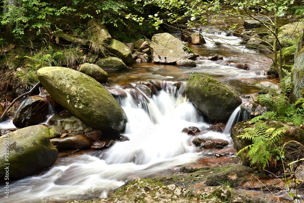 Der Fluss Ilse im romantischen Ilsetal Der Fluss Ilse im romantischen Ilsetal