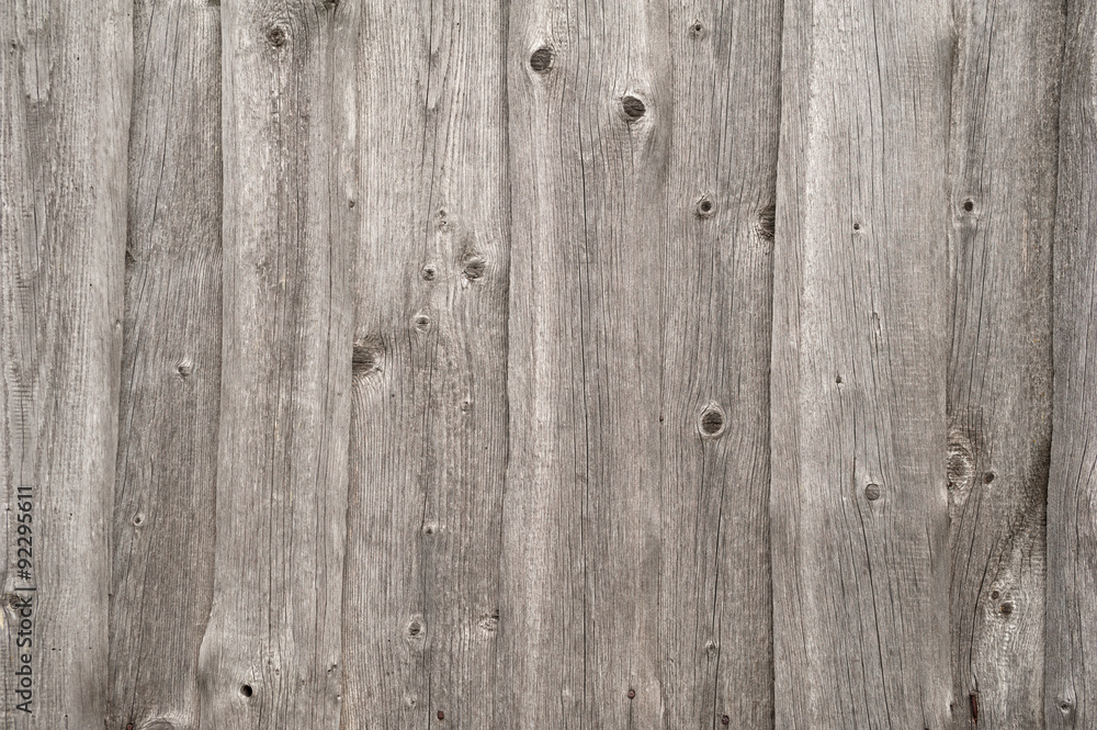 Naklejka premium Tekstura stary szary płot