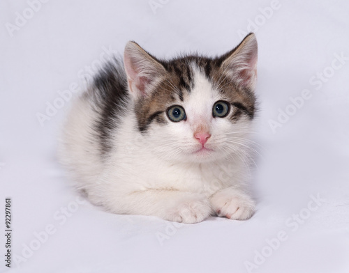 White and striped kitten lying on gray