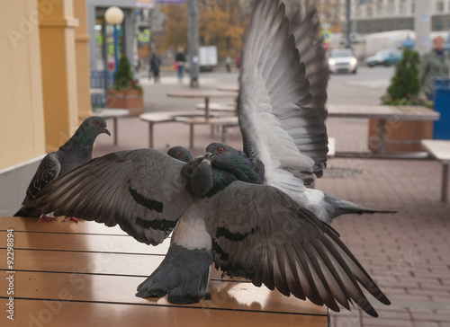 Pigeons fight on sidewalk cafe table