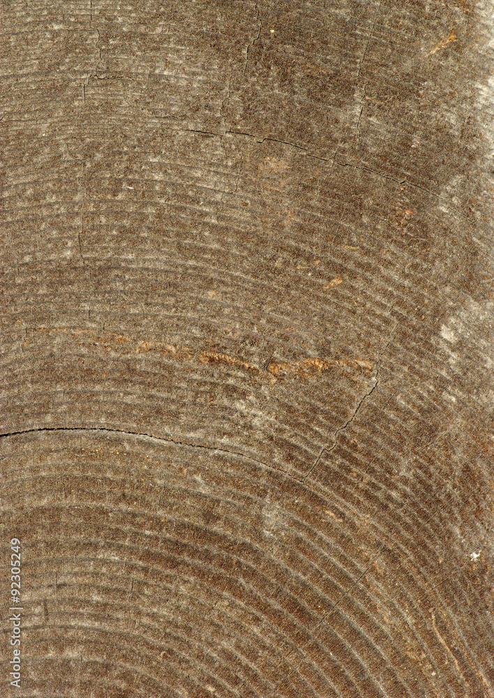 Fototapeta premium old wood texture