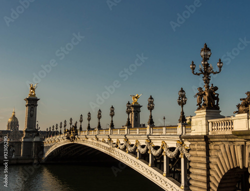 The bridge of Alexandre III, Paris, France.