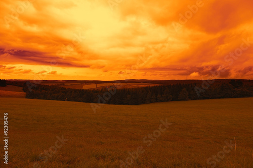 Landscape in the sunset