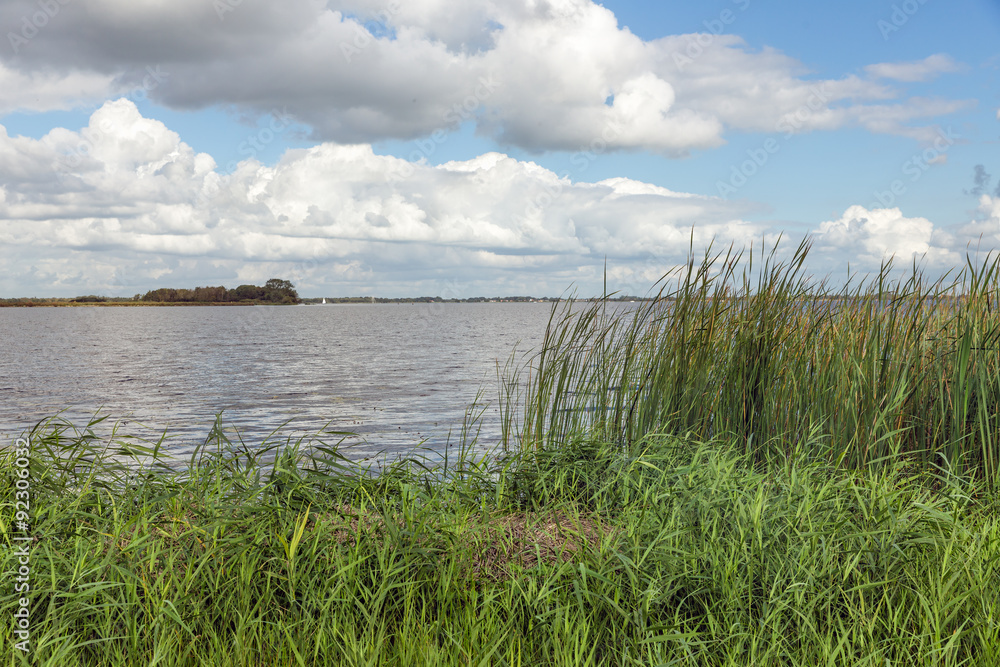 Dutch landscape with lake and reed vegetation