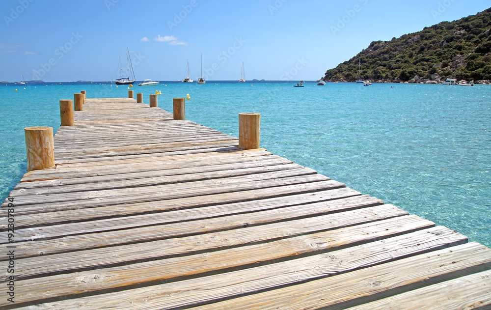 Obraz premium wood pier