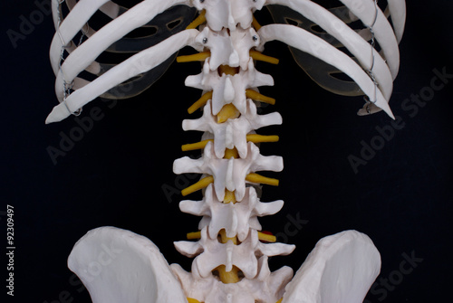 Lumbar Spine 