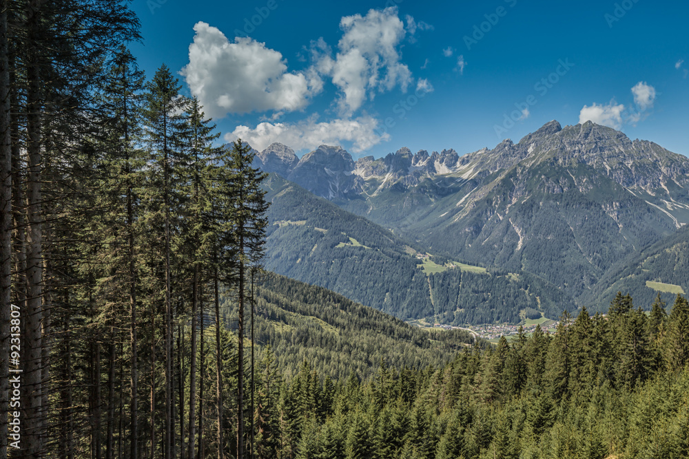 Fototapeta premium Forest in the Stubaital - Austria