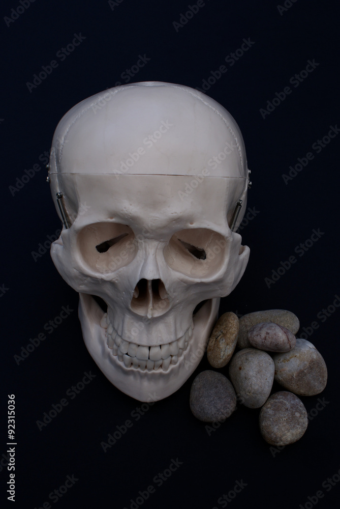 Skull and Stones Skull and Stones