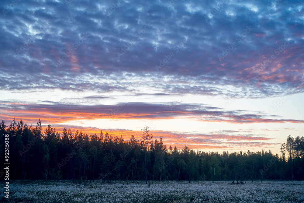 Finnish landscape at dawn