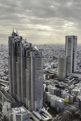 panoramic view of tokyo