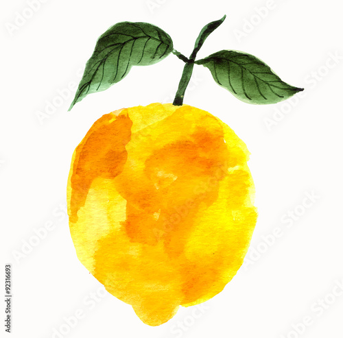 Hand drawn vector lemon in watercolor technique. 