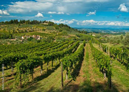 Panoramic view on San Gimignano with vineyards  one of the nicest villages of Italy