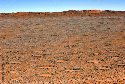Plakat Fairy Circles - Namibia