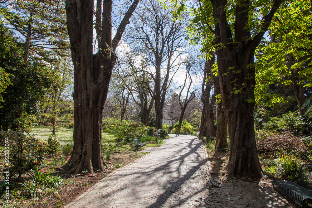 Path in the park