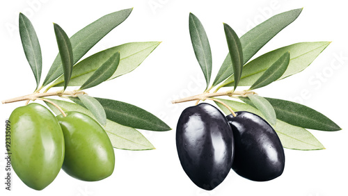 Green and black olives with leaves on a white background.