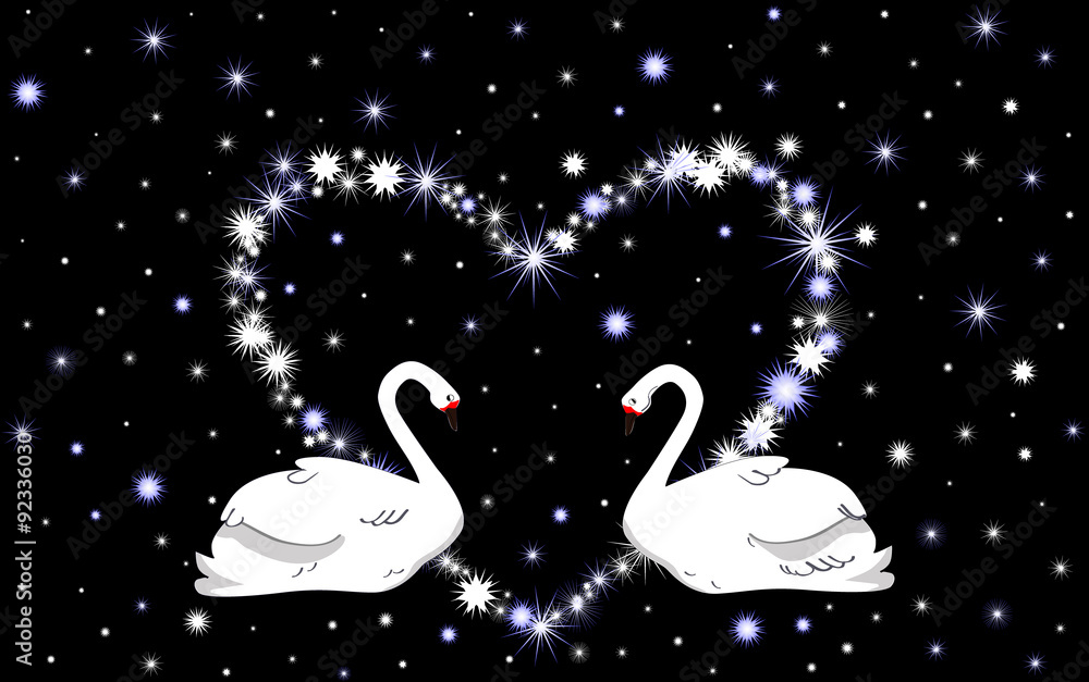 Fototapeta Wedding vector background with white swans and heart