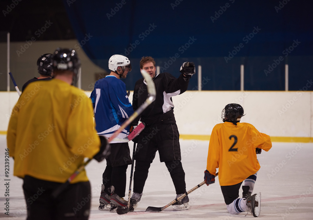 Fotografie ice hockey player in action