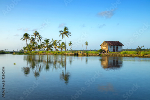 A Kerala Backwater Scene