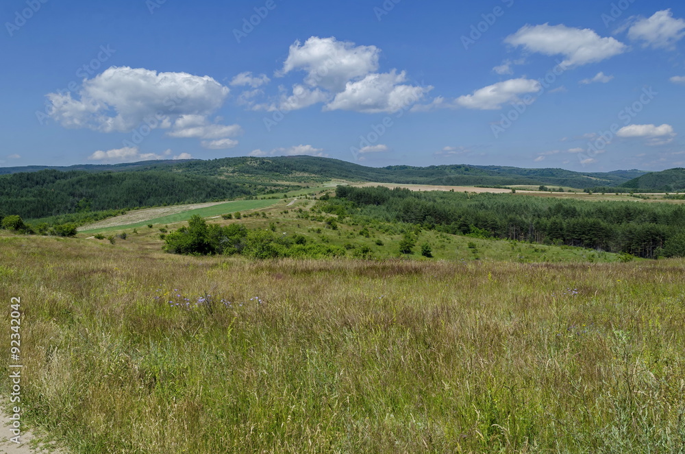 Background of sky, clouds, field  and forest, Plana mountain, Bulgaria  