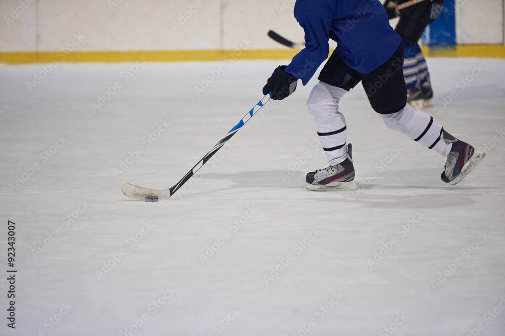 Fototapeta premium ice hockey player in action