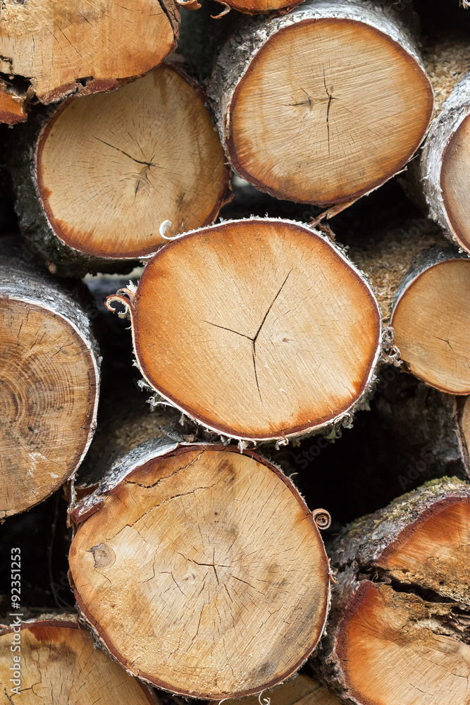 Pile of wood logs ready for winter Pile of wood logs ready for winter