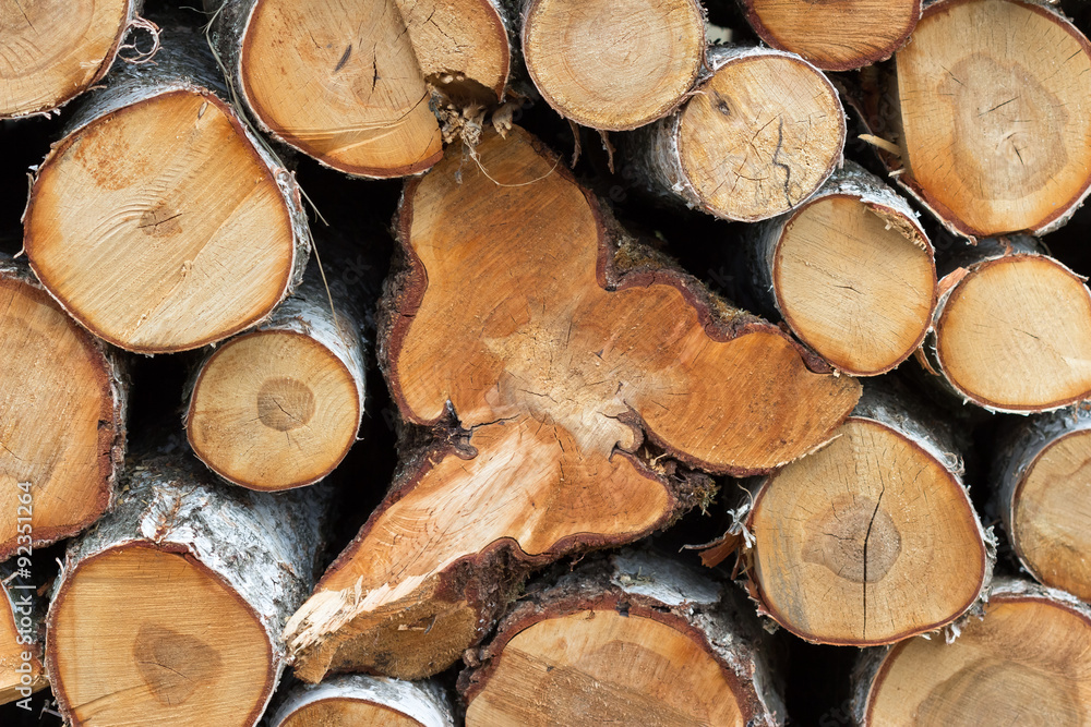 Fototapeta premium Pile of wood logs ready for winter