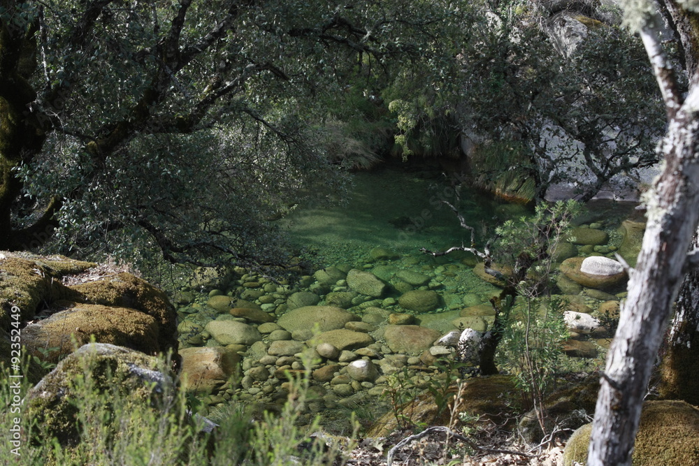 Vistas del río en La Garganta Minchones. La Vera, Gredos