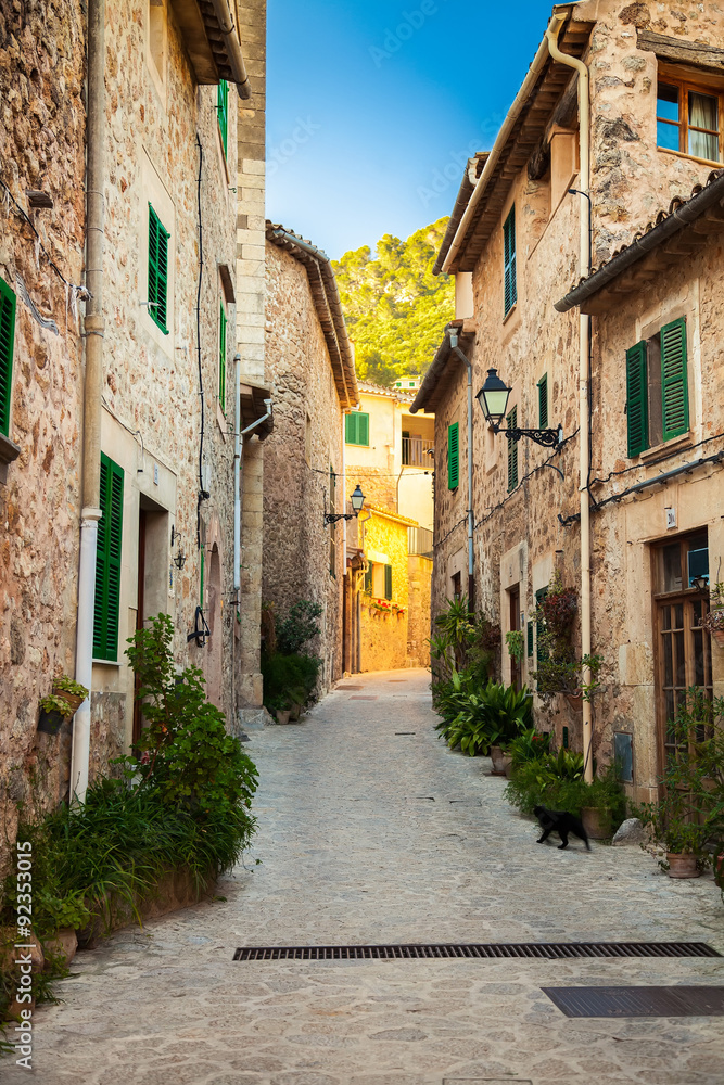 narrow cozy street in Valldemossa
