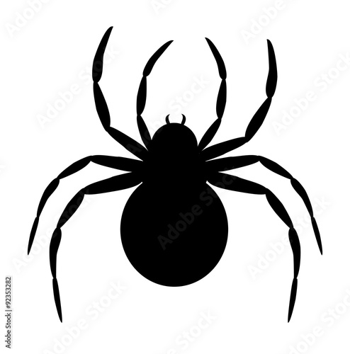  black spider