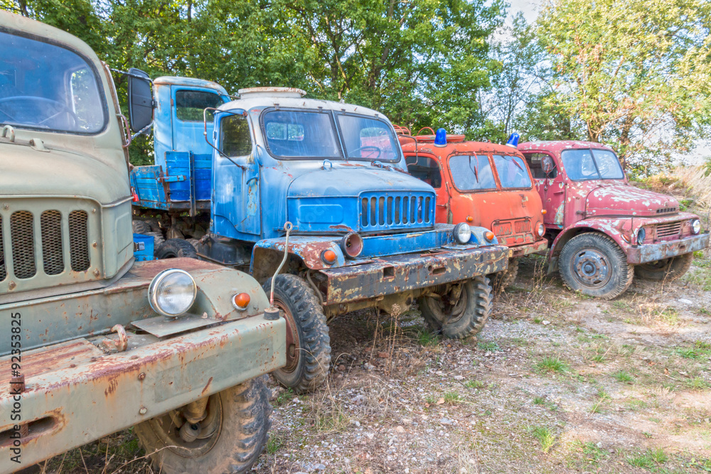 Rusty Old Trucks parked in forest