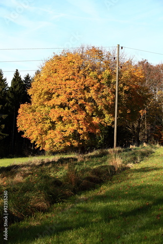 Jahreszeitenwechsel photo