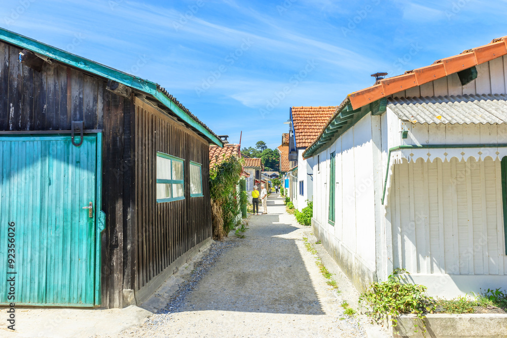 cabins aside a lane of a little country cabins aside a lane of a little country