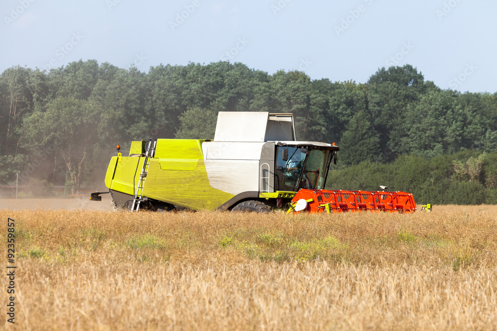 Obraz premium Mähdrescher erntet ab 