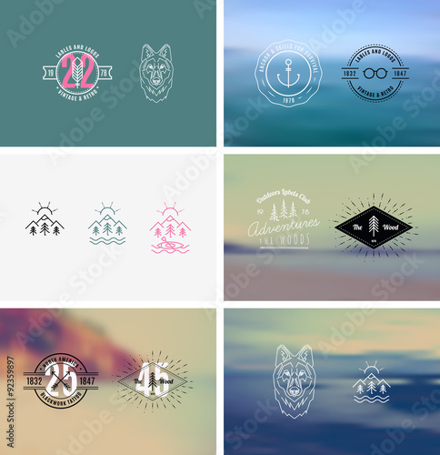 Trendy Retro Vintage Insignias with a blurred background
