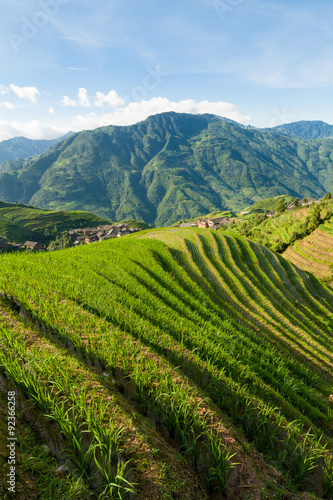 Longsheng rice terraces guilin china landscape