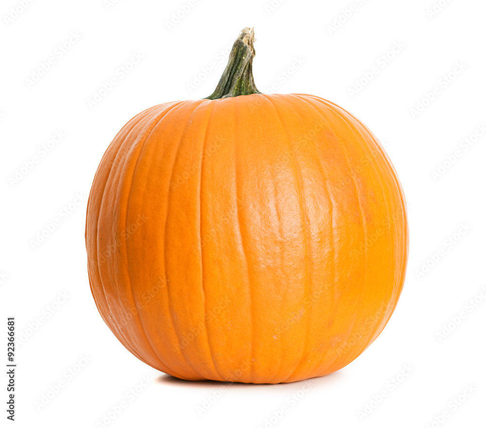 Pumpkin: Single Pumpkin on White Pumpkin: Single Pumpkin on White
