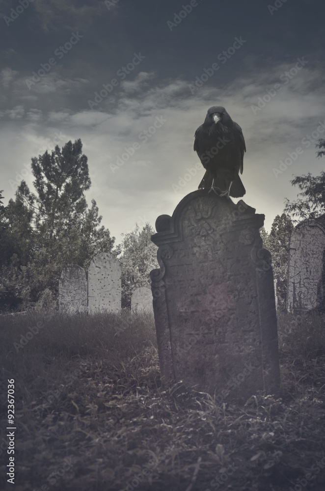 Fototapeta premium Graveyard