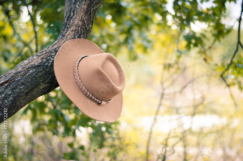 cowboy hat hanged on tree