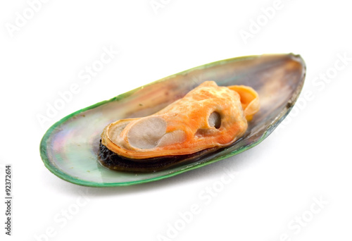 Green mussels isolated on white background