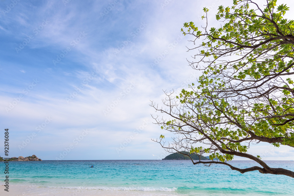 Beautiful landscape sky and blue sea under a green tree at beach of Koh Miang island is a attractions famous for diving in Mu Ko Similan National Park, Phang Nga Province, Thailand