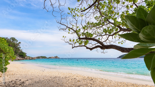 Fototapeta Naklejka Na Ścianę i Meble -  Beautiful landscape sky and blue sea under a green tree at beach of Koh Miang island is a attractions famous for diving in Mu Ko Similan National Park, Phang Nga, Thailand, 16:9 widescreen